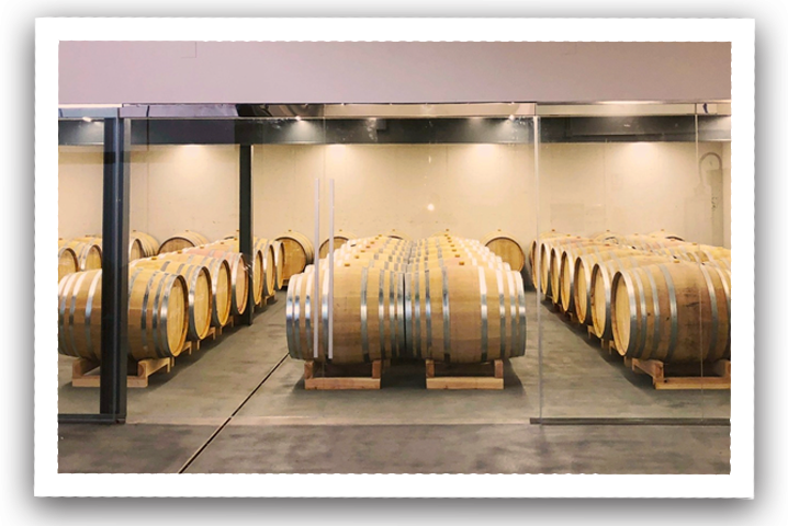 Día 5 - Risas y Sabores